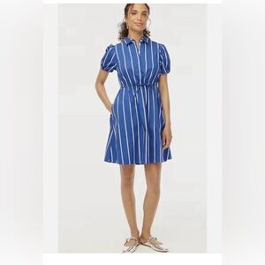J. Crew Blue and White Button-Up Dress